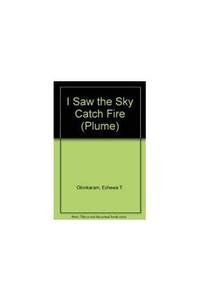 I Saw the Sky Catch Fire (Plume Contemporary Fiction)