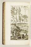 A NEW SYSTEM OF AGRICULTURE. BEING A COMPLETE BODY OF HUSBANDRY AND GARDENING