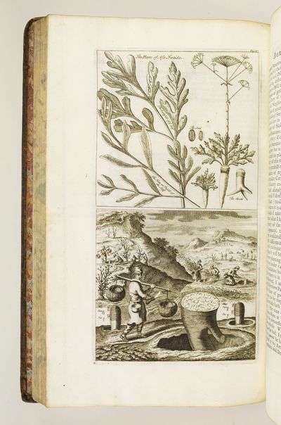 A NEW SYSTEM OF AGRICULTURE. BEING A COMPLETE BODY OF HUSBANDRY AND GARDENING
