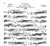 String Quartets, Volume II - Quartets Op.59 ##1/2/3, Op.74, and Op.95 [SET OF