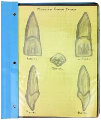 Tooth Drawings [Manuscript Student Sketchbook]