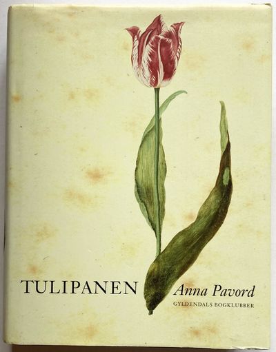 Tulipanen.