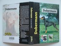image of Dobermann