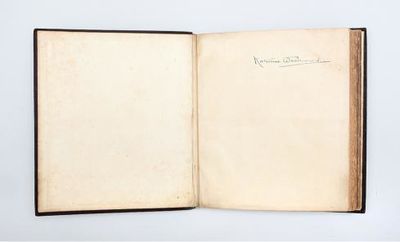 Album of material assembled by the...; (photo 2)