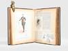 Album of material assembled by the...; (photo 4)