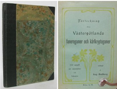 Förteckning öfver Västergötlands fanerogamer och…