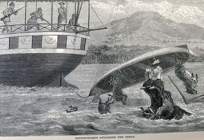 Ismailia: A Narrative of the Expedition to Central Africa for the Suppression of the Slave Trade