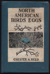 NORTH AMERICAN BIRDS EGGS.