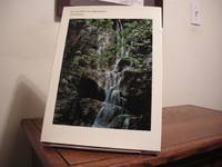 image of Forever Wild: The Adirondacks