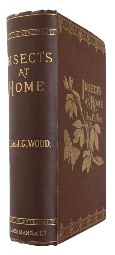 Insects at Home. Being a popular Accont of…