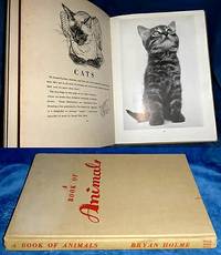 cover of A BOOK OF ANIMALS cats dogs horses birds farm and zoo animals