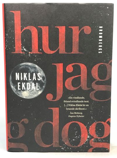 Hur jag dog. Och fick klart för mig hur allt…