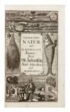 Museum Museorum, oder Vollständige Schau Bühne aller Materialien und Specereyen, Nebst deren Natürlichen Beschreibung, Election, Nutzen und Gebrauch, Aus andern Material- Kunst- und Naturalien-Kammern, Oost- und West-Indischen Reiss- Beschreibungen..