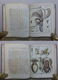 THE GENERA VERMIUM, exemplified by Various Specimens of the Animals contained in the Orders of the Intestina and Mollusca Linnaei. by BARBUT, James.: - 1783