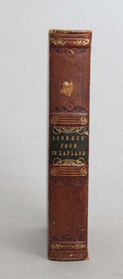 Lachesis Lapponica, or a tour in Lapland, now…