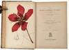 View Image 2 of 15 for The Native Flowers and Ferns of the United States in their Botanical, Horticultural, and Popular Asp... Inventory #23297