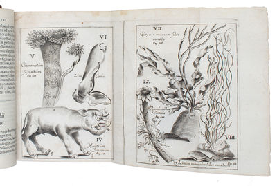 Acta Medica & Philosophica Hafniensia. Ann. 1671&1672; 1673; 1674.1675.1676.; 1677.1678. 1679. Cum aeneis figuris/Figuris aeneis illustrata. 5 vols (all). - [ONE OF THE FIRST MEDICAL PERIODICALS] (photo 2)