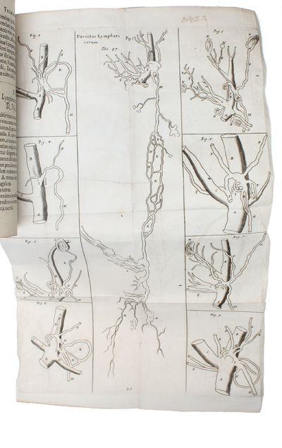 Acta Medica & Philosophica Hafniensia. Ann. 1671&1672; 1673; 1674.1675.1676.; 1677.1678. 1679. Cum aeneis figuris/Figuris aeneis illustrata. 5 vols (all). - [ONE OF THE FIRST MEDICAL PERIODICALS] (photo 3)