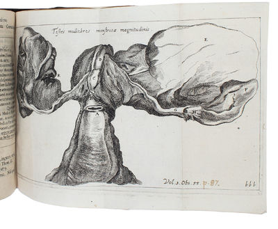Acta Medica & Philosophica Hafniensia. Ann. 1671&1672; 1673; 1674.1675.1676.; 1677.1678. 1679. Cum aeneis figuris/Figuris aeneis illustrata. 5 vols (all). - [ONE OF THE FIRST MEDICAL PERIODICALS] (photo 4)