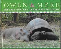 image of Owen_Mzee