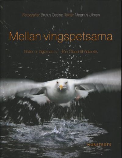 MELLAN VINGSPETSARNA. Bilder ur fåglarnas liv -…