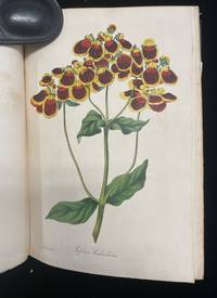 Paxton's Magazine of Botany, and Register of Flowering Plants. (Volume 2)