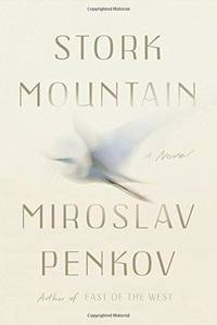 Stork Mountain: A Novel