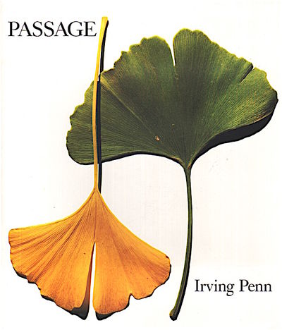 Irving Penn: Passage A Work Record