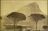 image of Lion's Head Mountain, Cape Town, South Africa. Albumen photograph