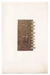 Ruth Asawa / Arthur Secunda (Exhibition Brochure)