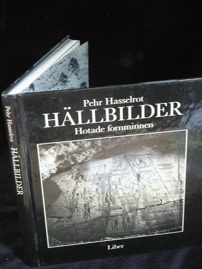 HÄLLBILDER. HOTADE FORNMINNEN.