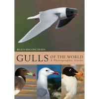 Gulls of the World: A Photographic Guide