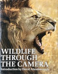 Wildlife through the camera