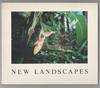 Untitled 24: New Landscapes