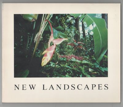 Untitled 24: New Landscapes
