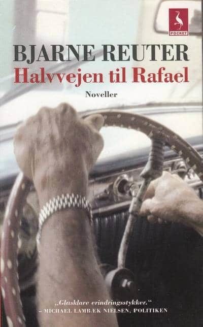 Halvvejen til Rafael. Noveller.