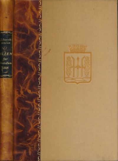 Skien før branden 1886