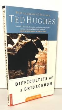 Difficulties of a Bridegroom