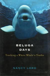 Beluga Days Tracking a White Whale's Truths