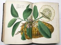 Medicinal Plants de Robert Bentley, Henry Trimen - 1880