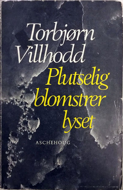 Plutselig blomstrer lyset