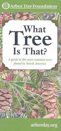 What Tree Is That? : A Guide to the More Common Trees of North America