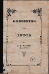 Gardening in India