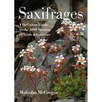 Saxifrages A Definitive Guide to the 2000 Species, Hybrids & Cultivars