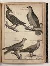 View Image 9 of 9 for Encyclopedie Methodique: Histoire Naturelle, Ornithologie Inventory #302854