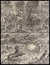 Ismailïa. A Narrative of the Expedition to Central Africa for the Suppression