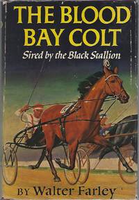 image of THE BLOOD BAY COLT