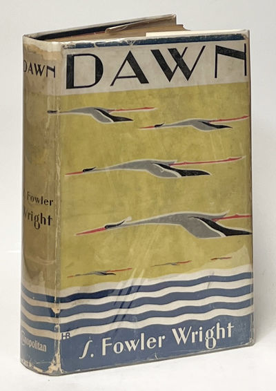 Dawn