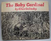 The Baby Cardinal by ellen Galinsky - 1977