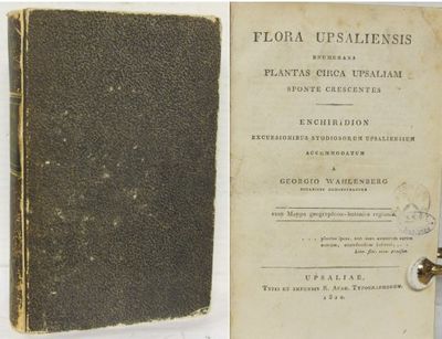 Flora Upsaliensis enumerans plantas circa…